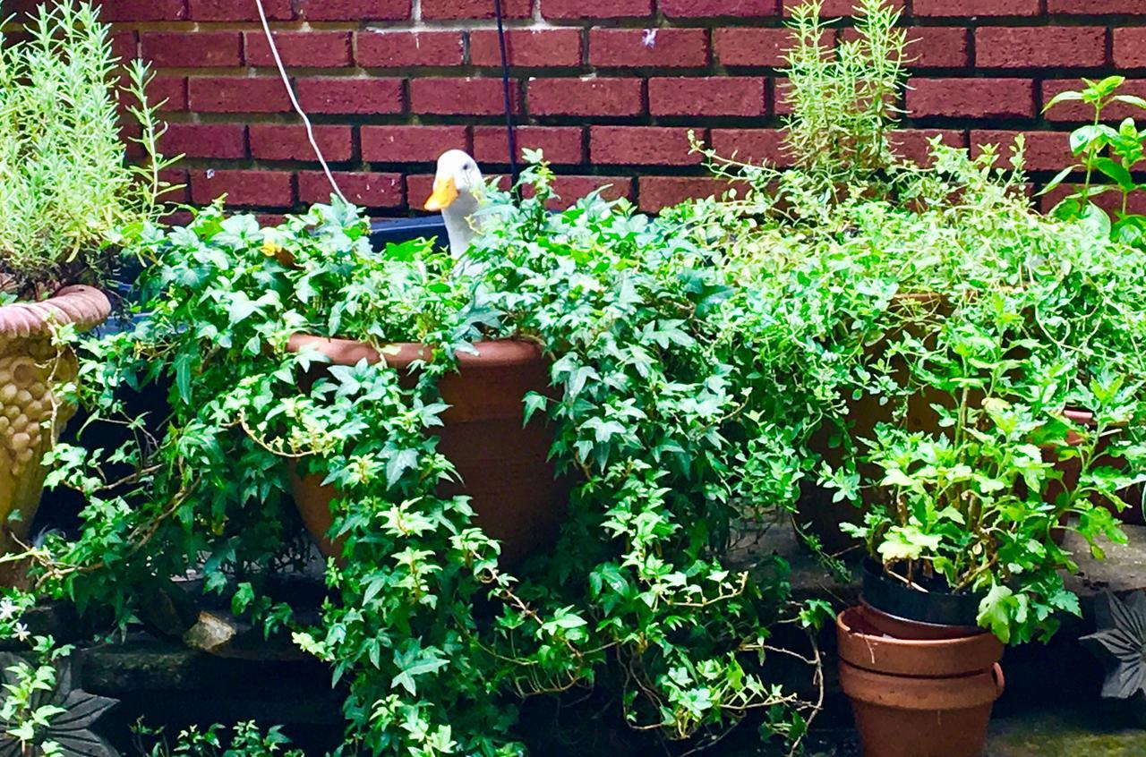 Inman Park Bed And Breakfast Атланта Екстериор снимка